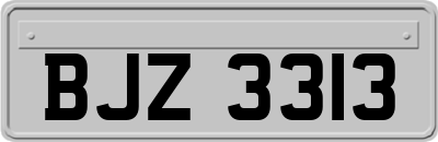BJZ3313