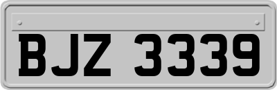 BJZ3339