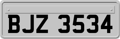 BJZ3534