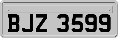 BJZ3599
