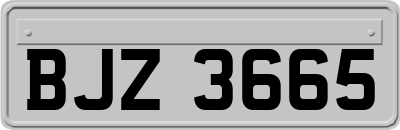 BJZ3665