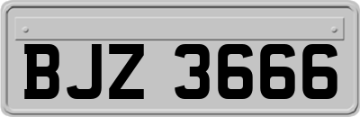 BJZ3666