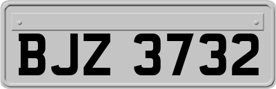 BJZ3732