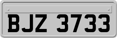BJZ3733
