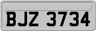 BJZ3734