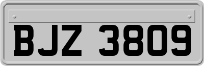 BJZ3809