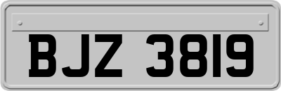 BJZ3819
