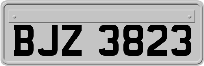 BJZ3823