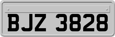 BJZ3828