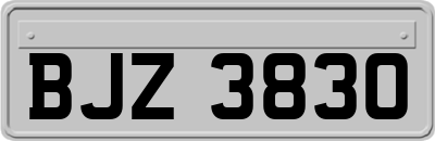 BJZ3830