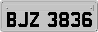BJZ3836