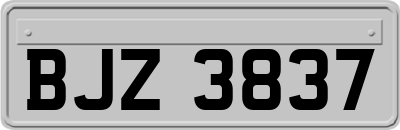 BJZ3837