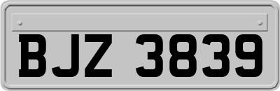 BJZ3839