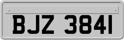 BJZ3841