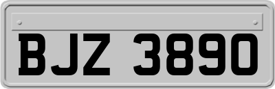 BJZ3890