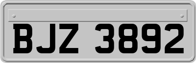 BJZ3892