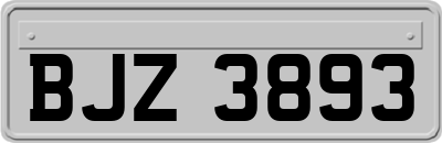 BJZ3893