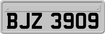 BJZ3909