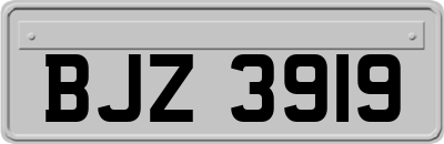 BJZ3919