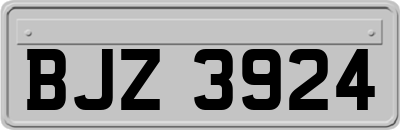 BJZ3924