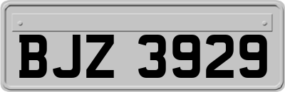 BJZ3929