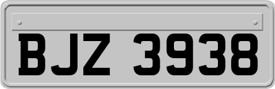 BJZ3938