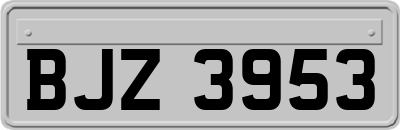 BJZ3953