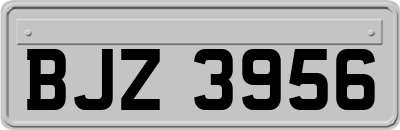 BJZ3956