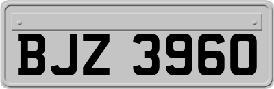 BJZ3960
