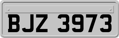 BJZ3973
