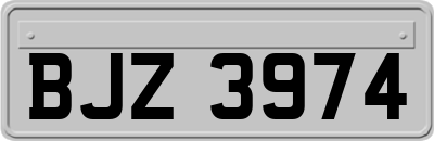 BJZ3974