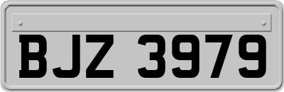 BJZ3979