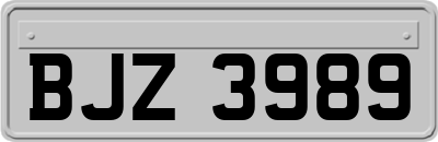 BJZ3989