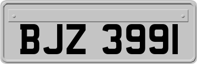 BJZ3991