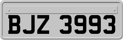 BJZ3993