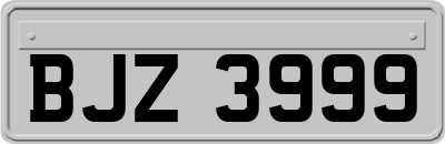 BJZ3999