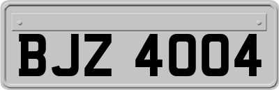 BJZ4004