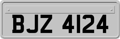 BJZ4124