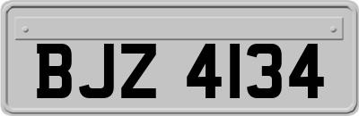 BJZ4134