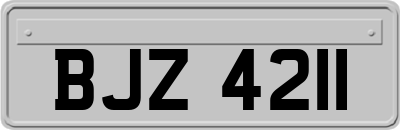 BJZ4211