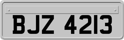 BJZ4213
