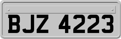 BJZ4223