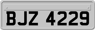 BJZ4229