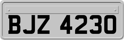 BJZ4230