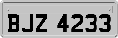 BJZ4233