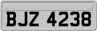 BJZ4238