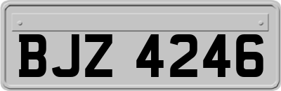 BJZ4246