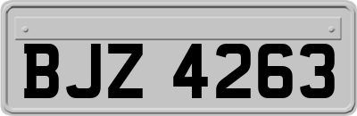BJZ4263