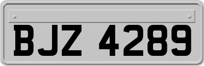 BJZ4289