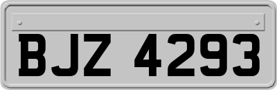 BJZ4293